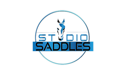 Saddles India